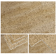 Spc Flooring Anti-Bacteria Soundproof Anti-Scratch Free Sample