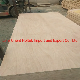 Plywood Manufacturer in China 2.5mm to 25mm