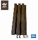 WPC Wood Plastic Composite Deking for Wall Panel