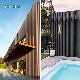  2023 Hot Sale Exterior Decorative Wood Plastic Composite WPC Great Wall Panel