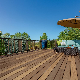 Outdoor Floor Covering WPC Decking 140X25mm