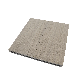  Wood Plastic Composite Co-Extrusion WPC Decking Capped