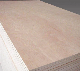  9mm 12mm 15mm 18mm Thickness Okoume Plywood for Furniture E1 Glue