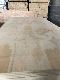  Radiata Pine Plywood From China Manufacturer 6mm - 21mm