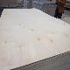  Birch Laser Birch Plywood B/Bb 3mm/18mm X1220mmx2440mm From Linyi Factory