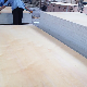  18mm Factory Direct Sell Baltic White Birch Plywood