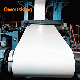  Ral9002 White Prepainted Galvanized Steel Coil Z275 for Building Material