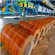  Stainless Steel Pipe Coil Galvanized Roof Tile PPGI Alloy Steel
