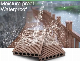 Skin-Friendly Easy Installation Outdoor WPC Decking/Flooring manufacturer