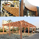  Plastic Polymer Modifiers Chemical Grafting Compatibilizer WPC Plastic Additives