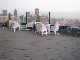 Wood Plastic Composite Decking Projects with CE, Fsg SGS, Certificate