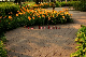 135*25mm Wood Plastic Composite Decking