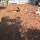 Mexytech Rubber Deck Tile/Non-Slip Wood Composite Decking