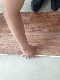  Rigid Floor/WPC Floor/WPC Click Floor/Vinyl Flooring