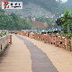  Natural Wood Texture Eco-Friendly WPC Wood Plastic Capped Composite Decking for Landscape