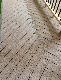  New Product Co-Extruded WPC Plastic Composite Decking with High Quality