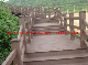  Home and Garden WPC Outdoor Handrail Wood Plastic Composite Porch and Deck Railings