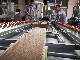  Wood Plastic WPC Extruding Machine Making WPC Profile Products
