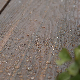 Outdoor Plastic Floor WPC Decking Board with Surface Co-Extrusion manufacturer