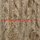  Wooden Look Plastic WPC Spc Lvt PVC Vinyl Floor Tiles with Click