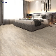  Wooden/Carpet/Stone Look PVC/WPC/Lvt Flooring Planks Dry Back/Click System