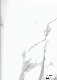  PVC Laminating Films for Plastic/MDF/WPC/Steel Sheets and Profiles