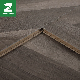  7-12mm HDF ISO9001 Waterproof Click Lock PVC Wooden Plastic WPC Laminated Flooring