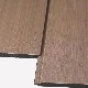  New Building Material Wood Plastic Composite WPC Wall Foam Board for Ceiling
