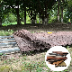 Classic Round Hole 3D Embossed WPC Decking