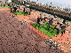  Floor Tiles Outdoor Flooring Deck Tiles Wood DIY Garden Eco Waterproof Material WPC Composite