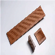  Conventional Plastic and Wood Compoiste WPC Decking for Garden Park