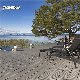  Eco-Friendly WPC Wood Plastic Composite Decking Hollow Plank Outdoor Terrace Patio