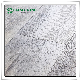  High Quality 2mm-12mm Plastic Spc/Lvt/Lvp/PVC/Rvp/WPC Vinyl Plank/Roll/Sheet Floor