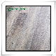  Factory OEM 22 Years Vinyl Flooring Manufacturing Experience Laminate/Lvp/Lvt/WPC/PVC/Espc/ Spc Flooring