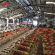  Cooling Plates Aluminum Heatsink Profile Heat Sink Aluminium Extrusion