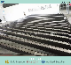 Solar Street Light Pole SGS Audited China Supplier