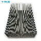  Anodize Extruded Aluminum Alloy Frame Profile Aluminum Heat Sink Extrusion