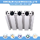  OEM Custom CNC Machining Anodized Aluminium Extrusion Profile for Aluminum Auto Parts