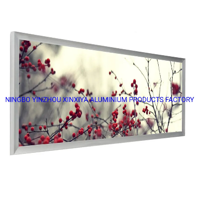 Metal Aluminum Panoramic Frame with Matting 16"X20"