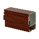  Customized 6063 T5 Anodized Powder Coated Aluminum Extrusion Profiles for Building Architecture