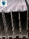 Curtain Wall Aluminium Extrusion Profile Module for Glass Wall Building