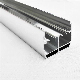 Qian Yan Floating Glass Shower Doors China Aluminum Alloy Shower Profile Suppliers OEM Customized U Channel Profile