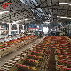  Cooling Plates Aluminum Heatsink Profile Heat Sink Aluminium Extrusion