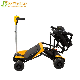 Remote Control Electric Scooter Mobilty Product for Sale