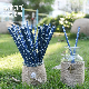  Party Disposable Biodegradable Anchor Paper Straw