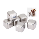  Stainless Steel Ice Cube Set 4 PCS