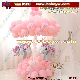  Party Supply Party Popper Party Decoration Birthday Party Favor Wedding Decoration Party Gift (B1122)