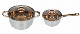  Stainless Steel Cookware Tea Glass Lid Golden Handle Pots Cookware Set