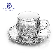  Sunflower Series of Glass Cup with Saucer (TZ-GB09D2706TYH)