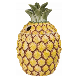 Yellow Pineapple Skull Tiki Mug Green Ananas